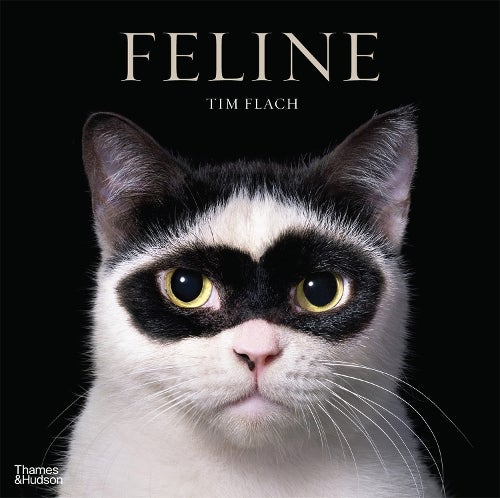Feline - Tim Flach