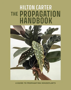 Publisher's Distribution Propagation Handbook