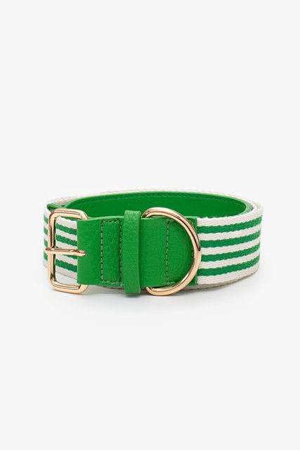 Antler Sadie Stripe Belt - Green