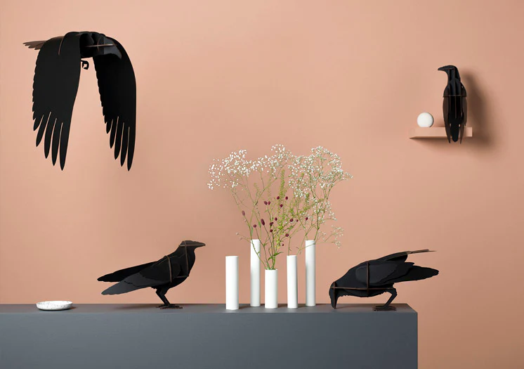 Ibride Jack the Raven