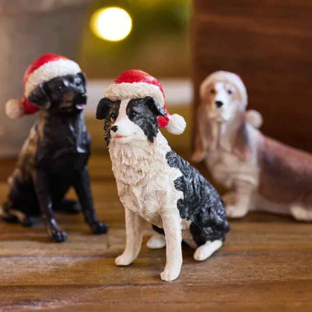 French Country Sheep Dog with Santa Hat