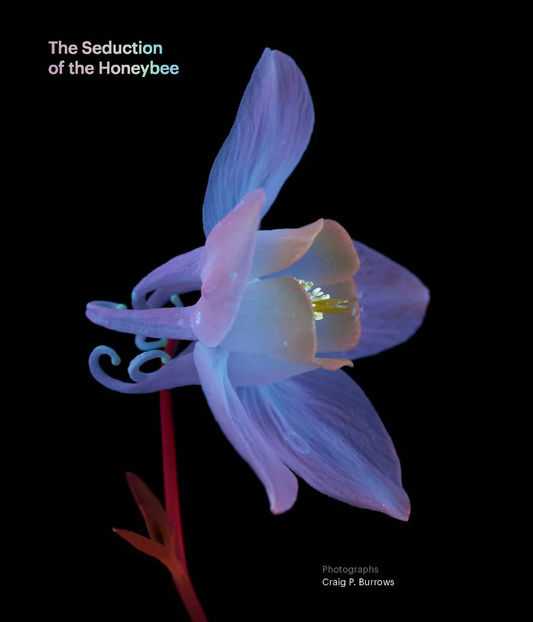 The Seduction of the Honey Bee - Craig P Burrows