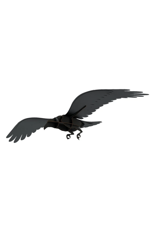 Ibride Adam the Raven