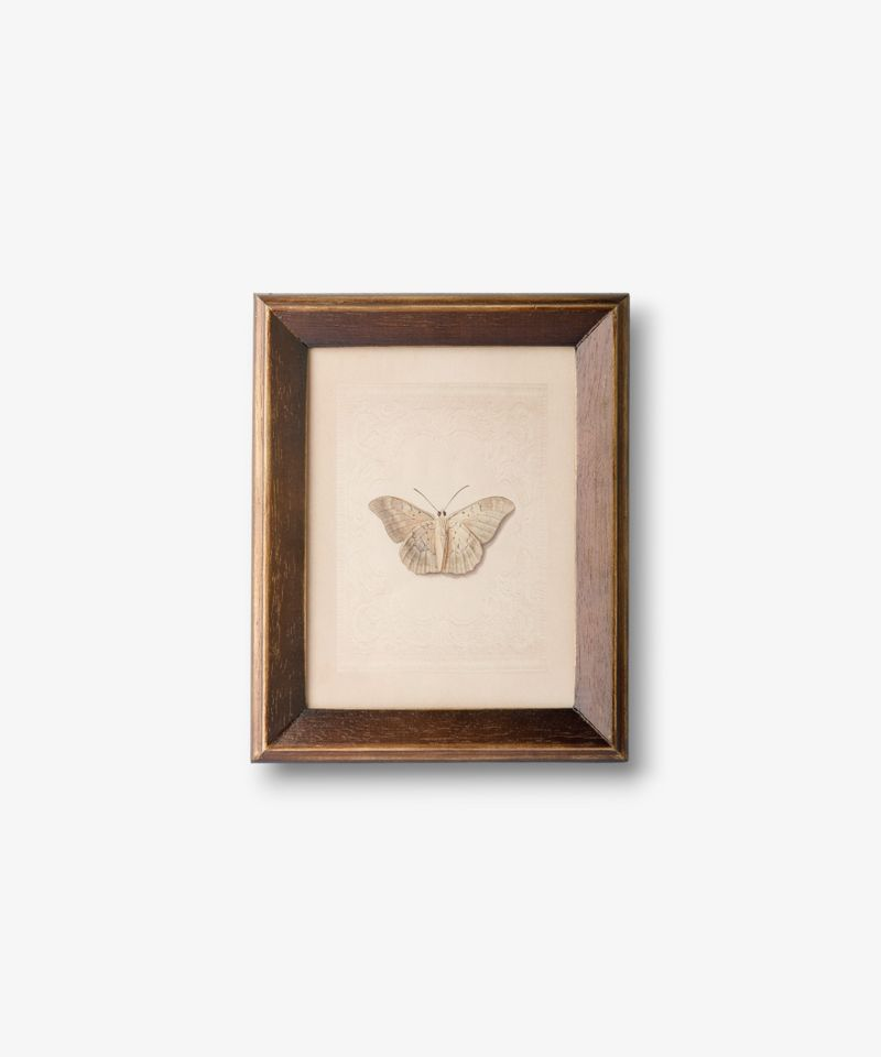 French Country Butterfly Study Wall Art