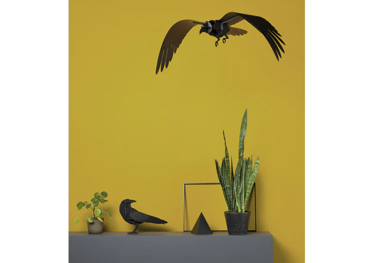 Ibride Adam the Raven