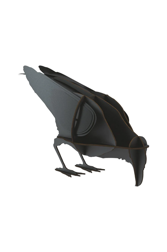 Ibride Jack the Raven