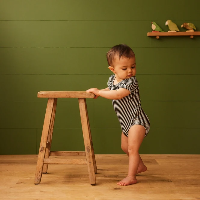 Nature Baby Short Sleeve Bodysuit - Navy Stripe