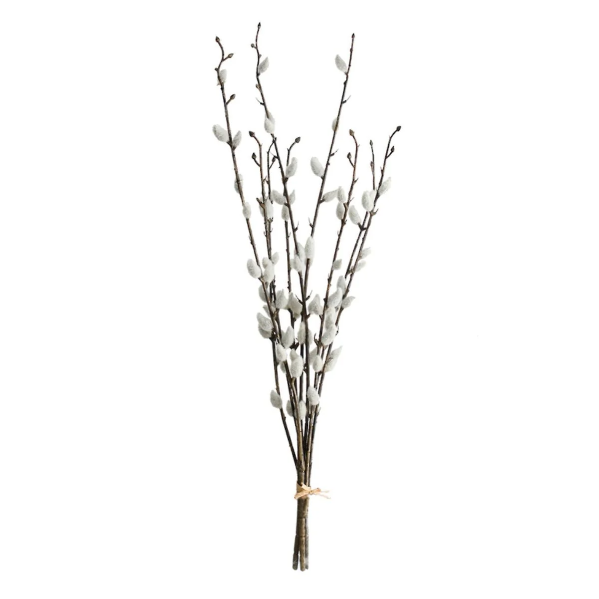 Flower Systems Pussy Willow Bundle x3 - 55cm