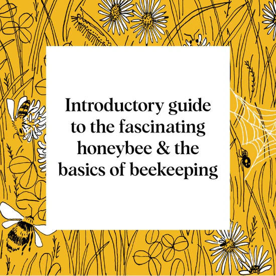 Bee Keeping Pocket Nature Book