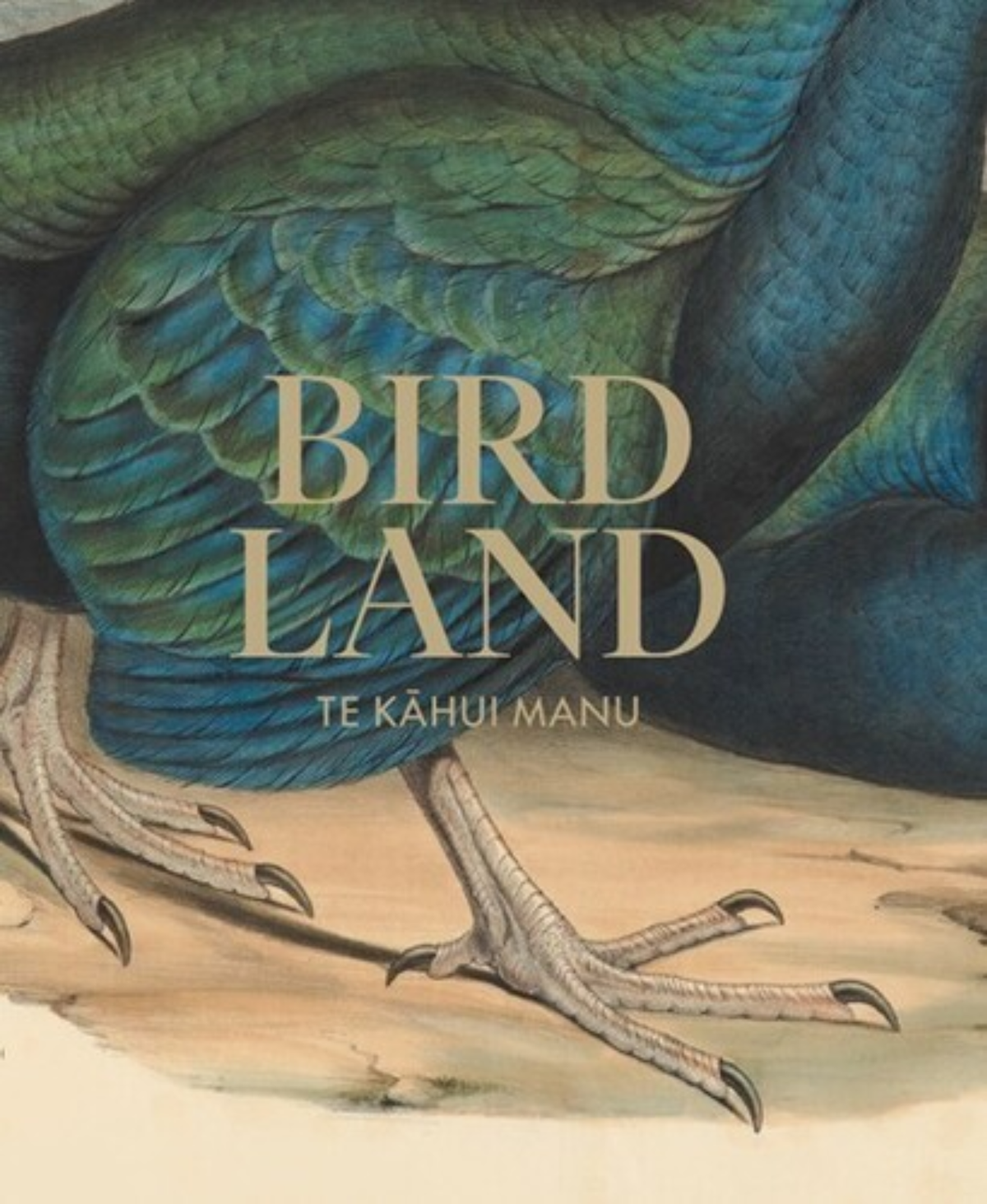 Bird Land - Te Kahui Manu