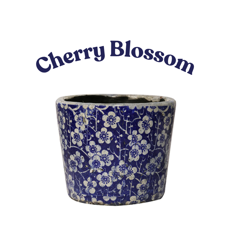 CC Interiors Large Blue & White Planters (Assorted)