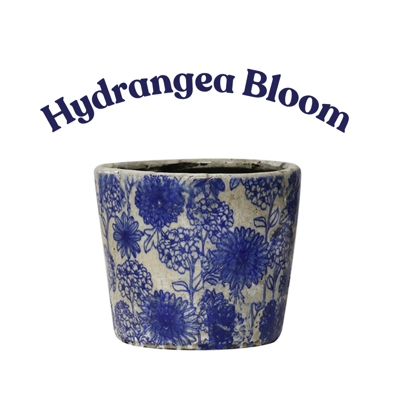 CC Interiors Large Blue & White Planters (Assorted)