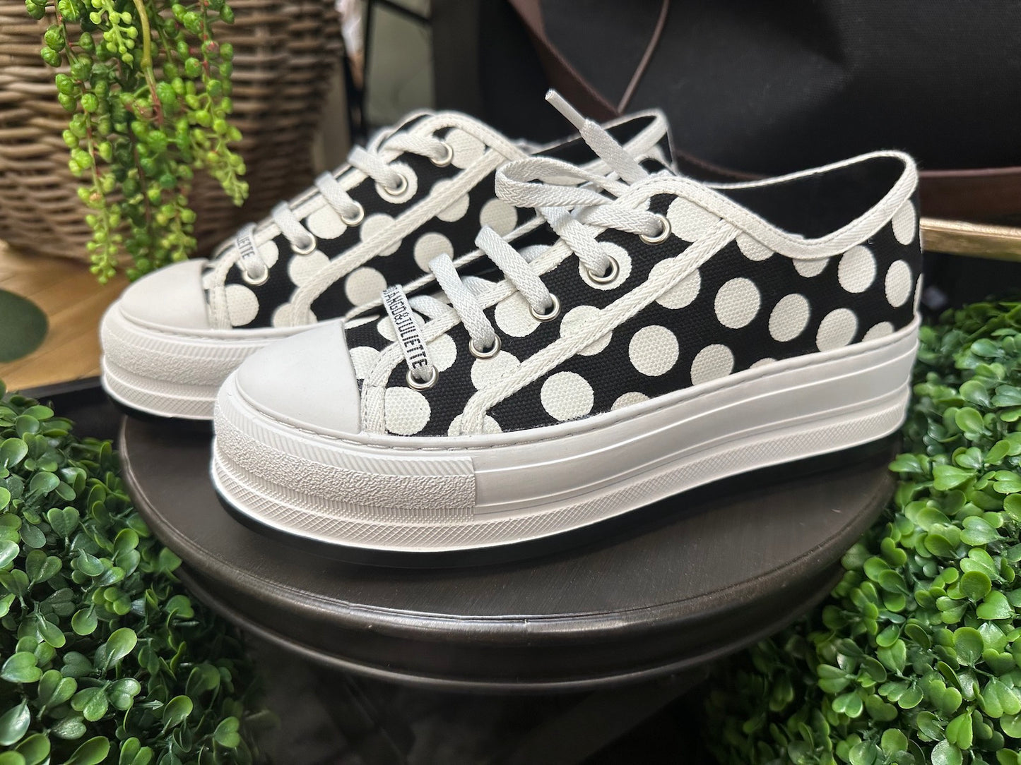 Django & Juliette Genesiss Sneaker - Black & White Spot