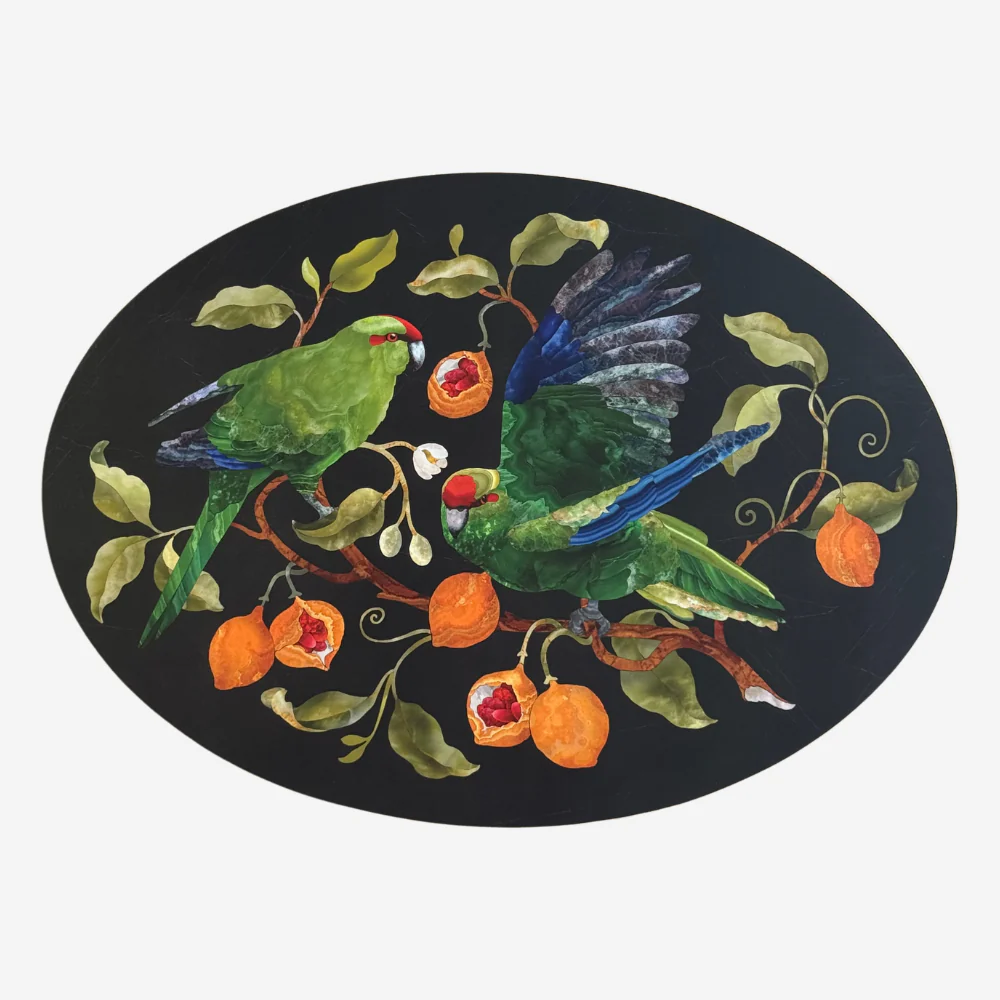 Tikitibu Oval Placemat - Set of 4 NZ Birds