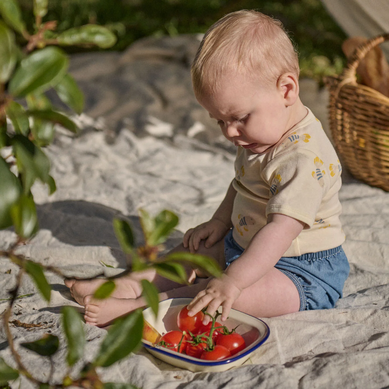 Nature Baby Short Sleeve Bodysuit - Fish Fable Print
