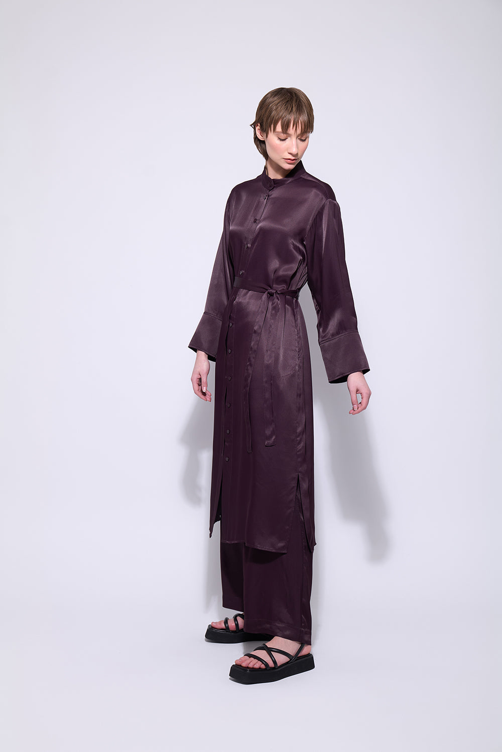 Neris Sloane Dress - Raisin