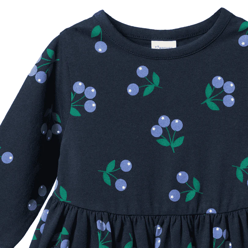 Nature Baby Long Sleeve Twirl Dress - Winter Berry Navy Print