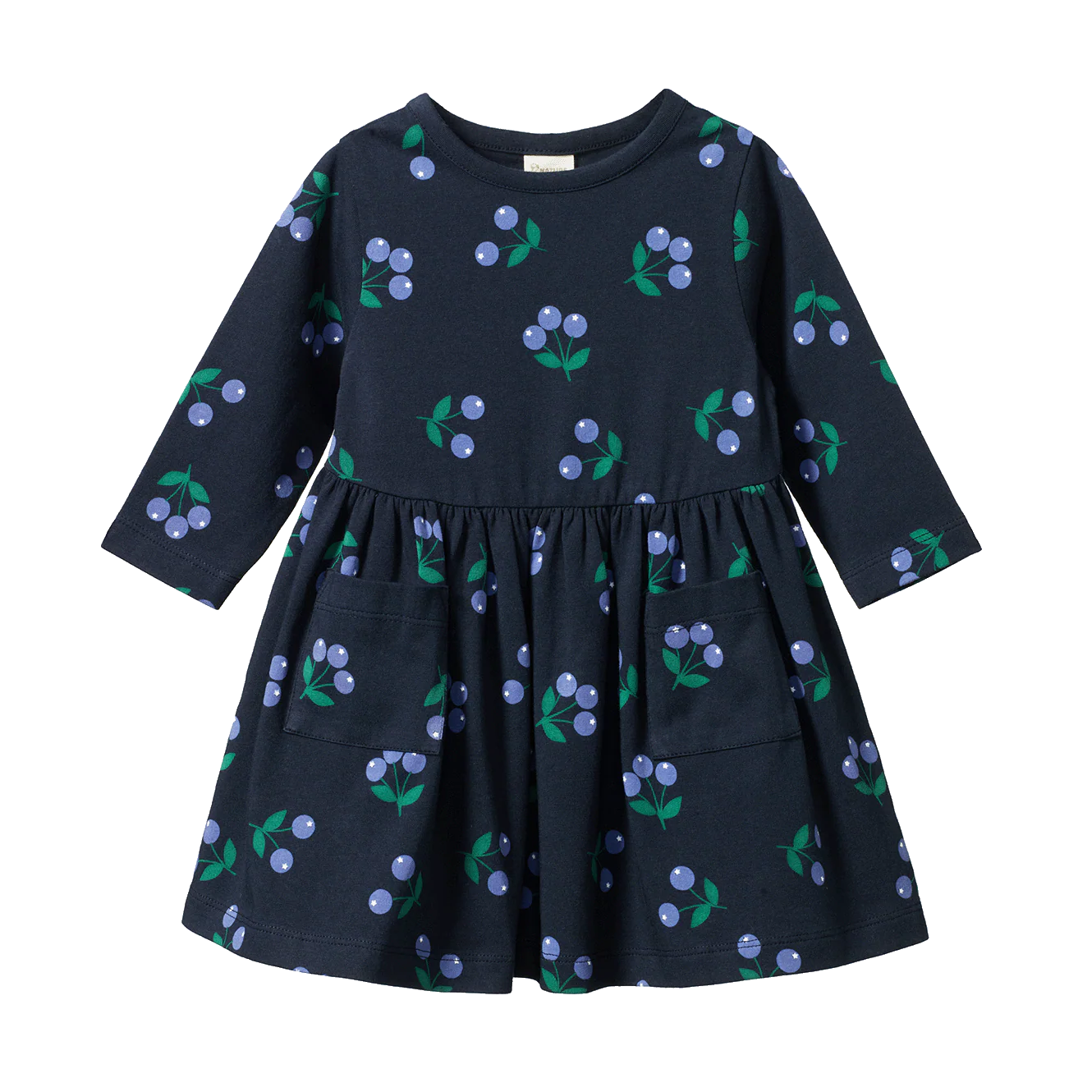 Nature Baby Long Sleeve Twirl Dress - Winter Berry Navy Print