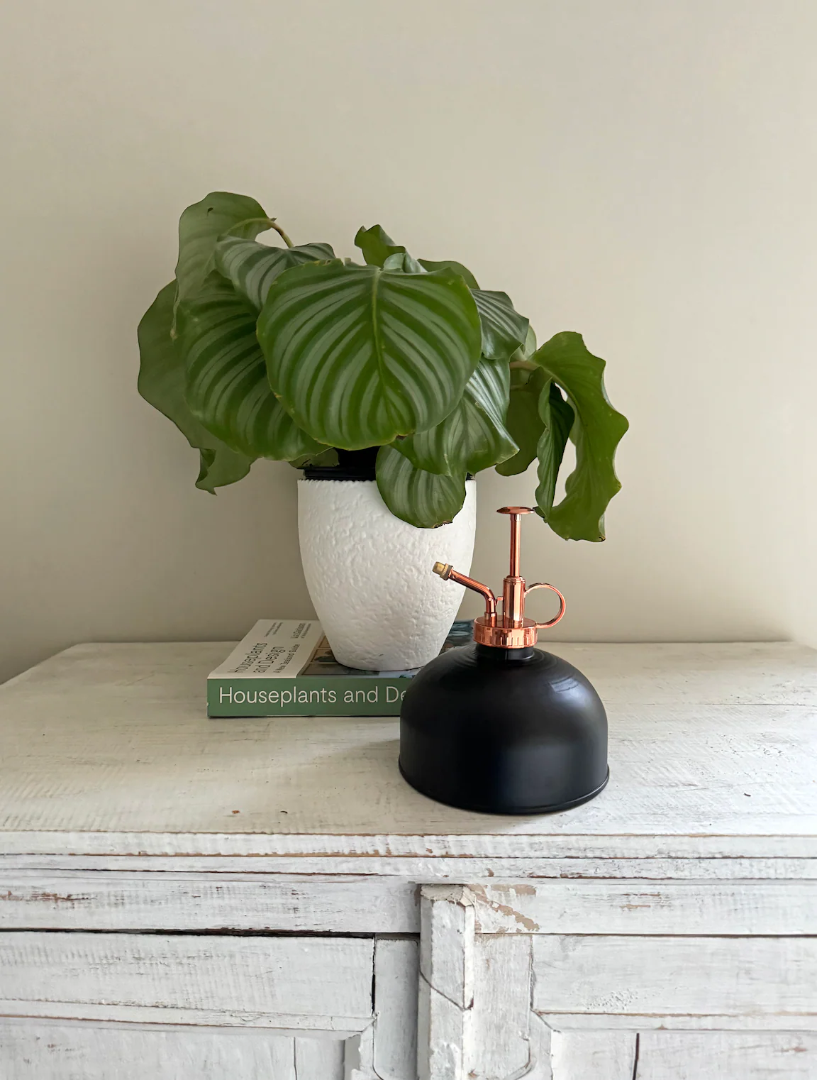 Parnell+Co Plant Mister - Black/Copper