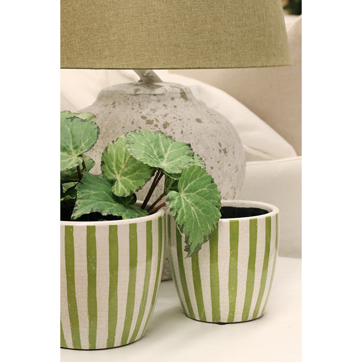 CC Interiors Lime Green Stripe Planter - Large