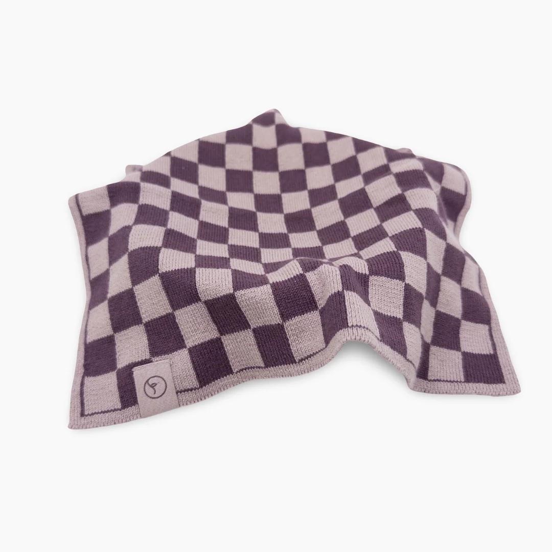 Ecovask Multi Cloth 2pk - Grape/Orchid Chequer