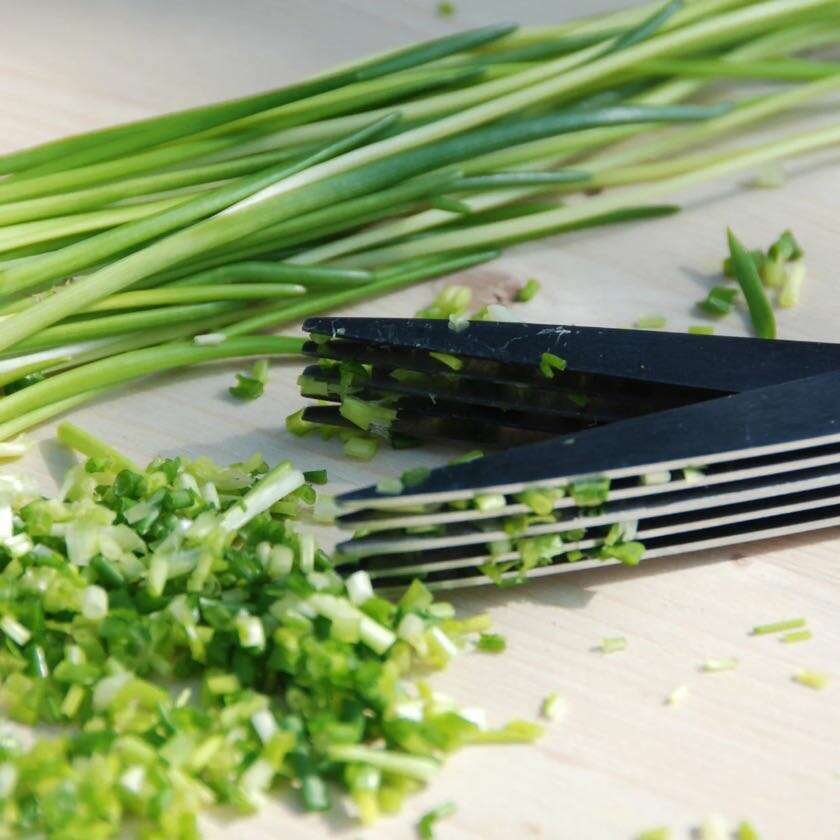 Parnell+Co Herb Scissors 2x12x28cm