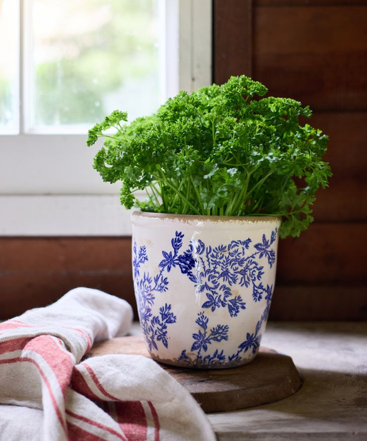 French Country Blue Floral Herb Pot - Large