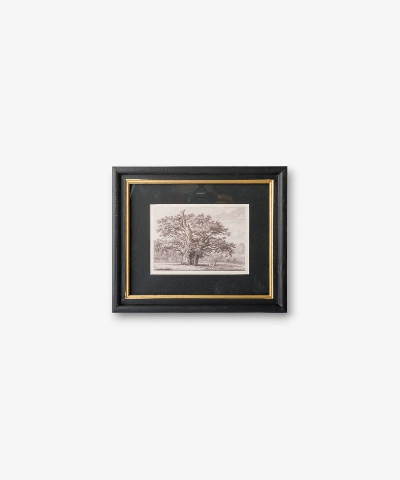 French Country Oak Tree Pencil Wall Art