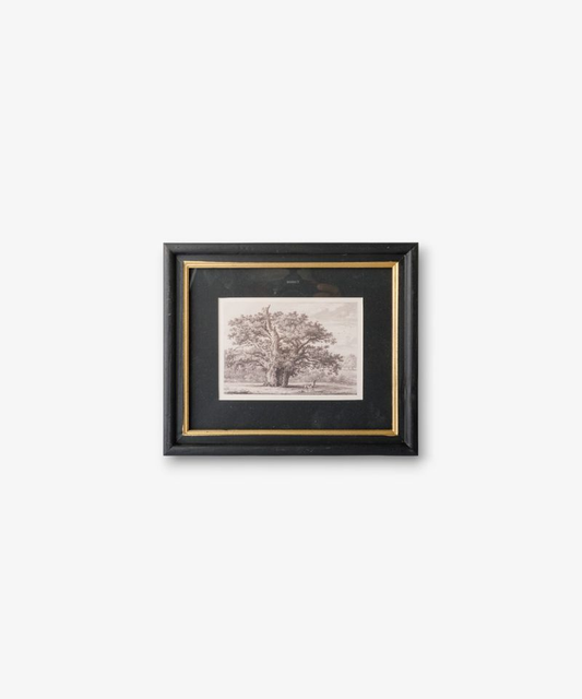 French Country Oak Tree Pencil Wall Art