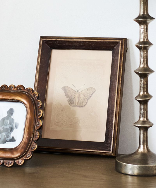 French Country Butterfly Study Wall Art