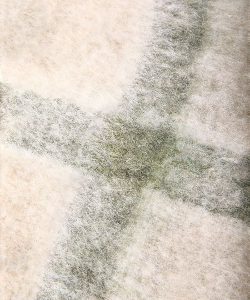French Country Juniper Check Throw Green
