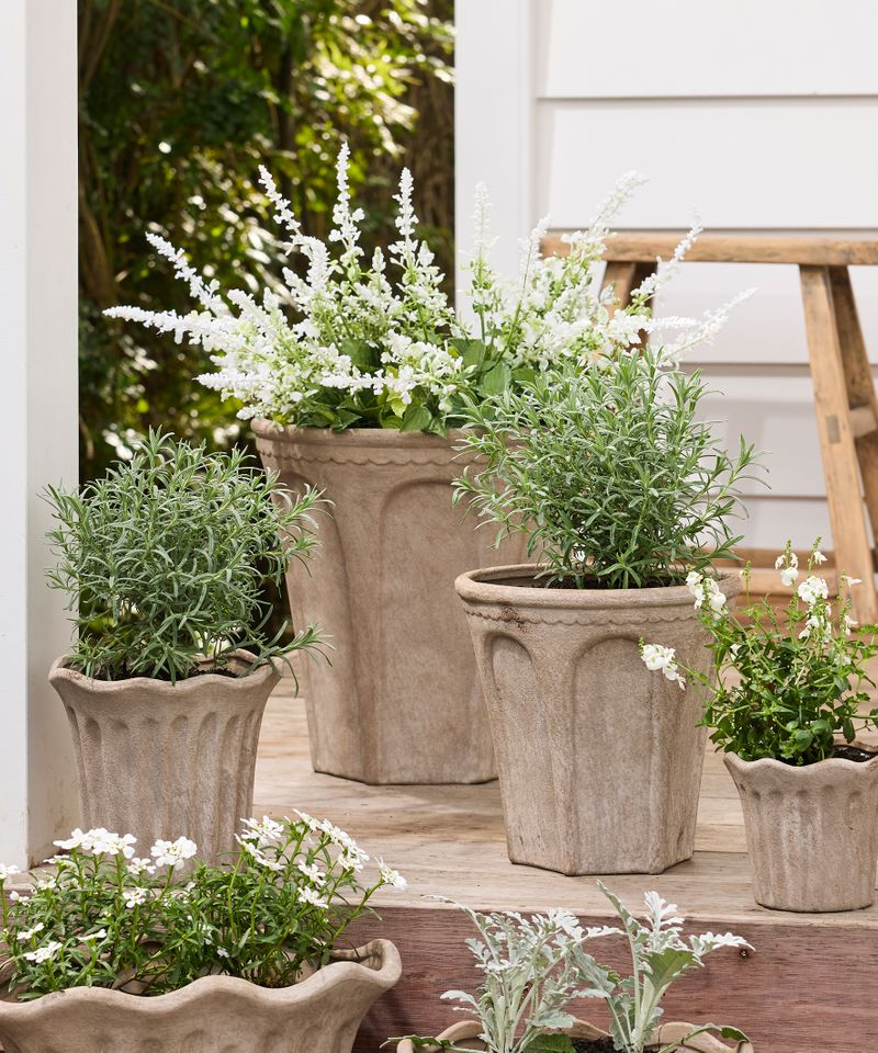 French Country Terra Arc Planter - Large