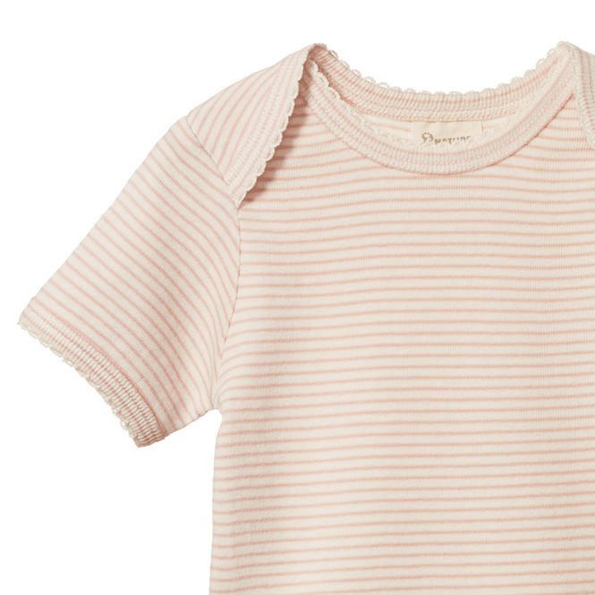 Nature Baby Short Sleeve Bodysuit - Rose Dust Pinstripe