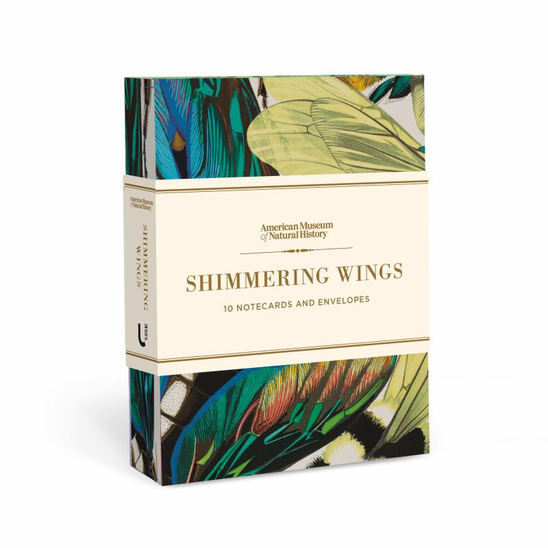 Shimmering Wings 10 Notecards and Envelopes