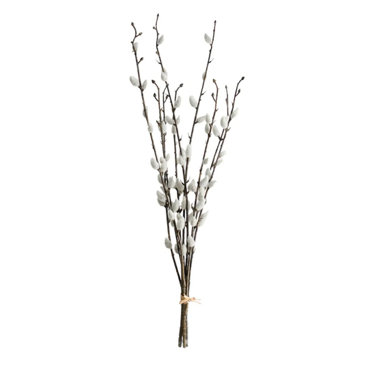 Flower Systems Pussy Willow Bundle x3 - 55cm